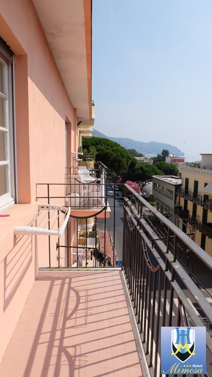 Hotel Mimosa スポトルノ エクステリア 写真
